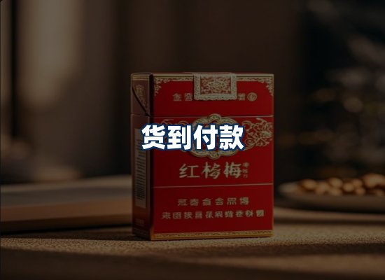 专业团队办公环境